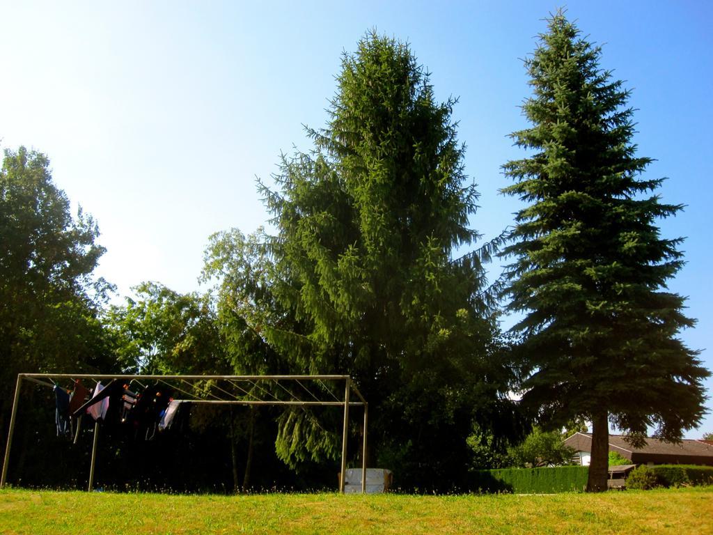 Ferienwohnung Am Ziegelbach Hechingen Luaran gambar